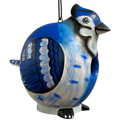 Songbird Essentials Gord-O Bird House, Blue Jay – BirdYard Direct