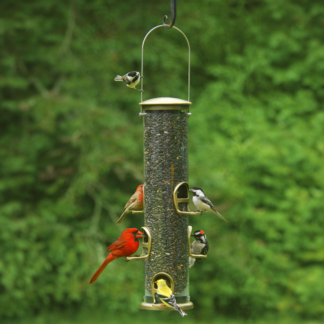 Aspects Big Tube Wild Bird Feeders, Antique Brass, Pack of 4