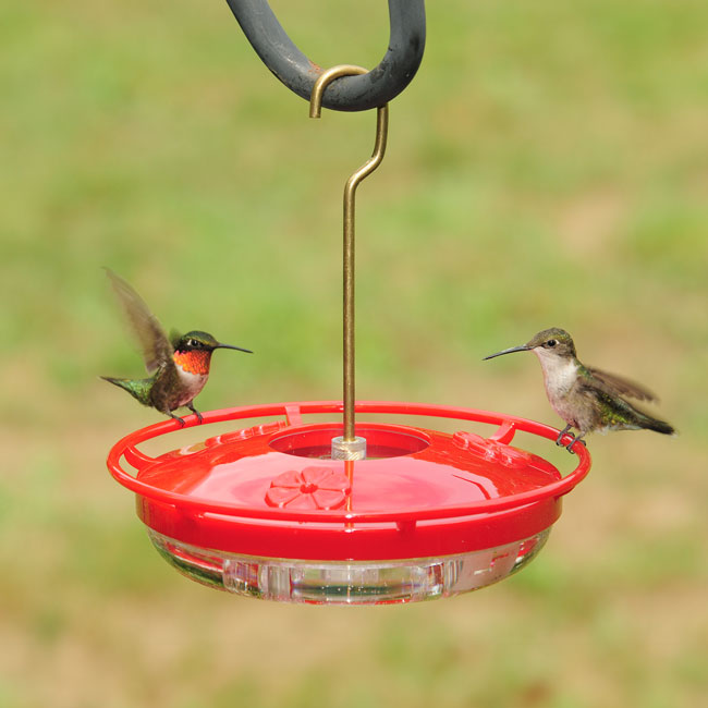 Aspects High View HummZinger Mini Hummingbird Feeders, 6 Pk