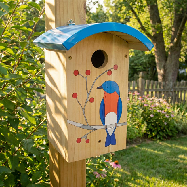 Audubon Eggpicnic Bluebird House