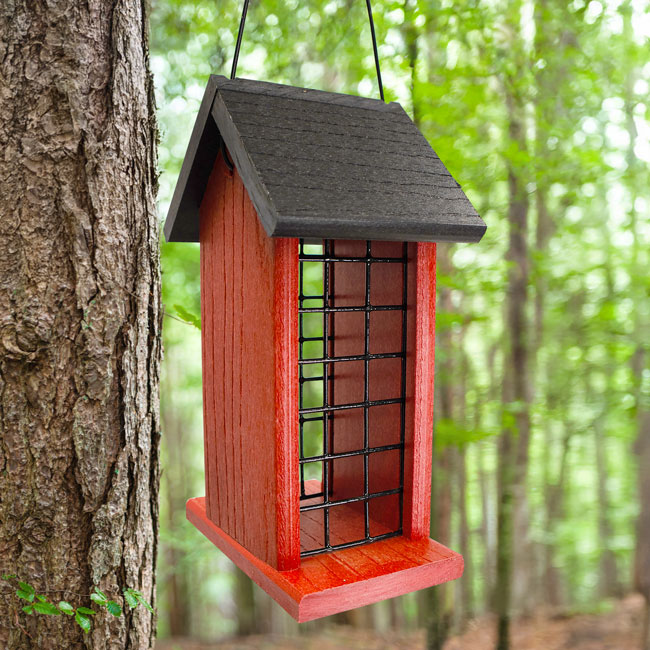 Audubon Going Green Peanut Feeder, Red and Black