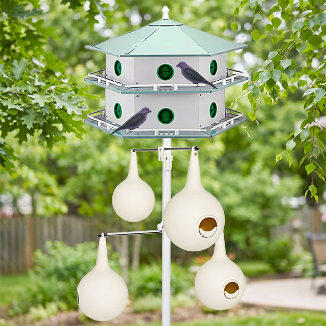 Heath 12-Room Deluxe Purple Martin House, Gourds, & Decoys