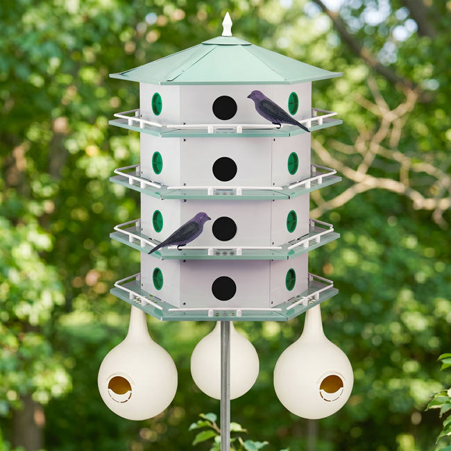 Heath 24-Room Deluxe Purple Martin House & Gourds Kit