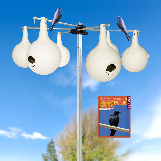 Purple Martin Gourds with Hanging Bracket and Pole Kit