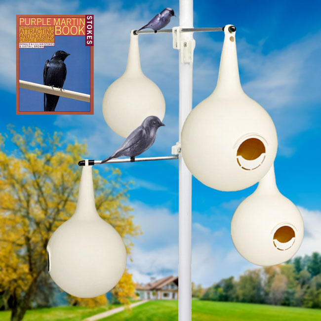 BestNest Classic Purple Martin Gourds and Pole Package