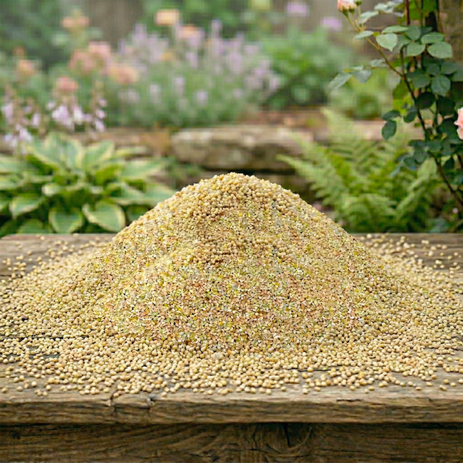 White Millet, 50 lbs.