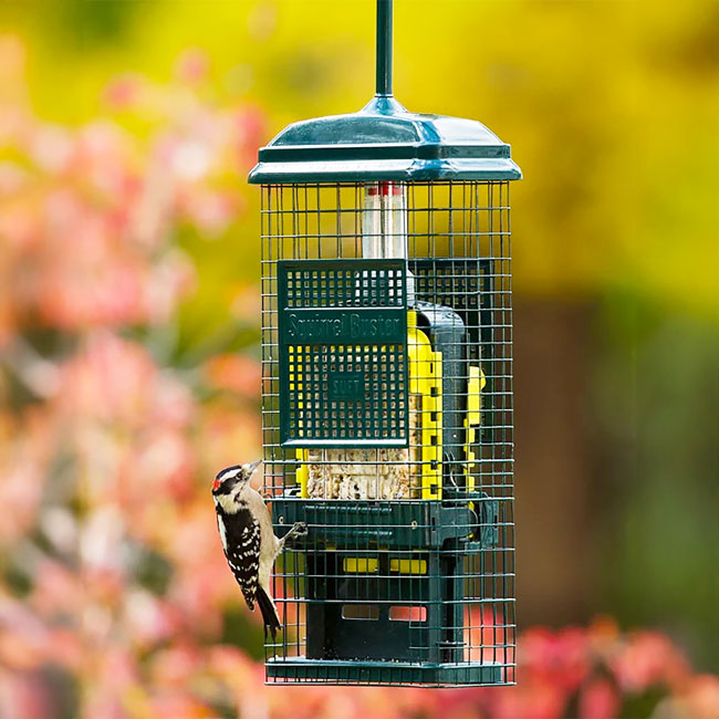 Brome Squirrel Buster Suet Feeder