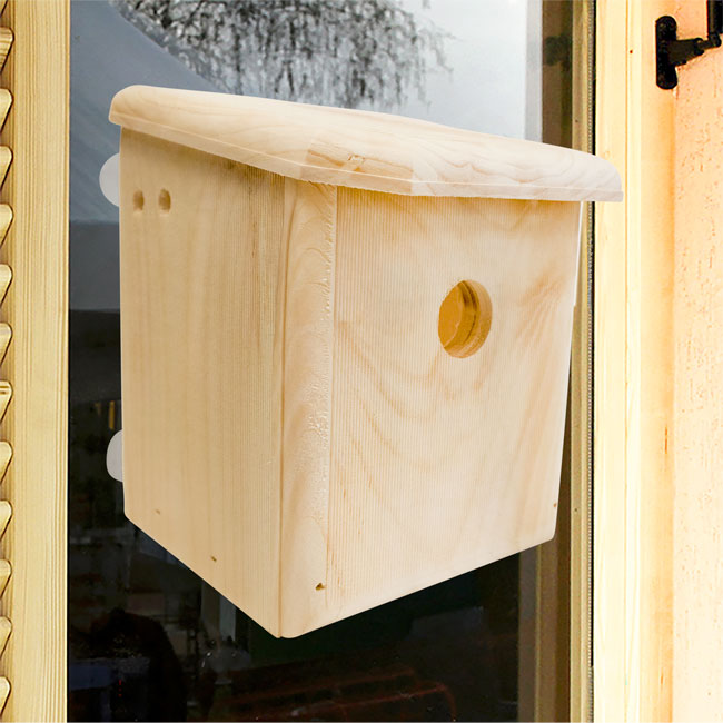 Window Nesting Box Coveside Window Nest Box – BirdYard Direct