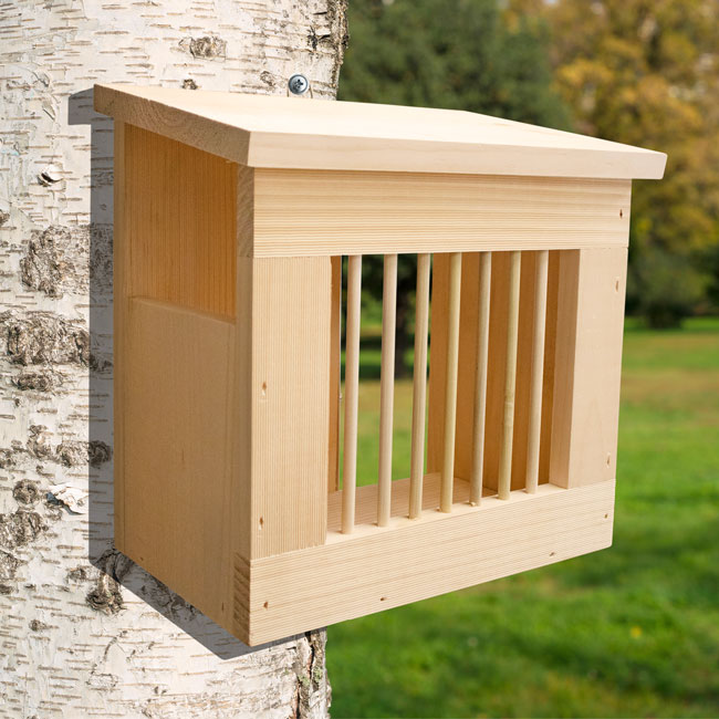 Coveside Pine Squirrel Slammer Feeder