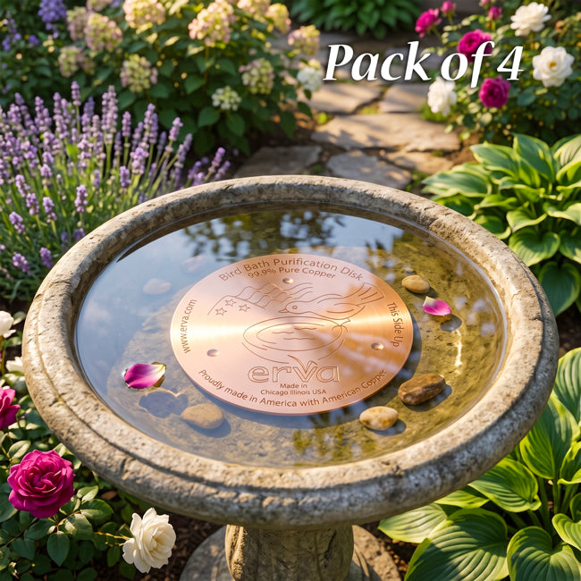 Erva Bird Bath Purification Disks, Copper, Pack of 4