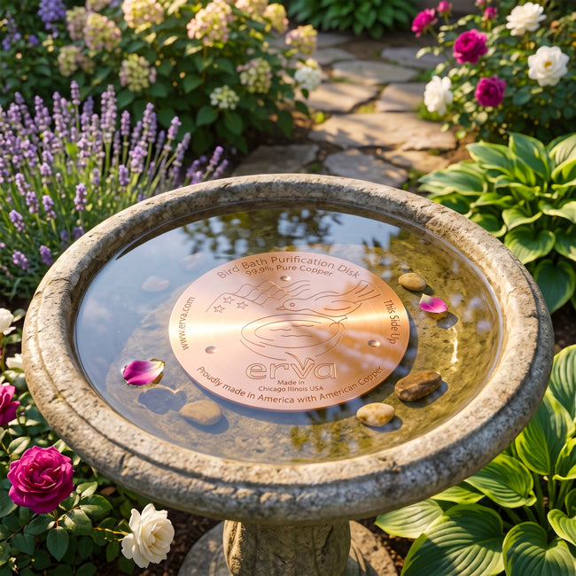 Erva Bird Bath Purification Disk, Copper