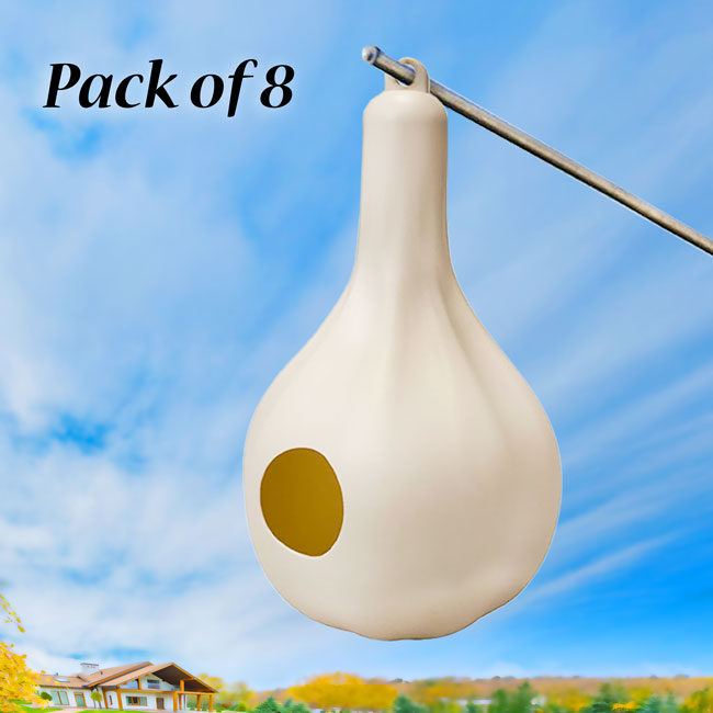 Wild Bird Lover's Single Purple Martin Gourds, Pack of 8
