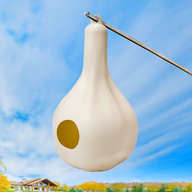 Wild Bird Lover's Single Purple Martin Gourd