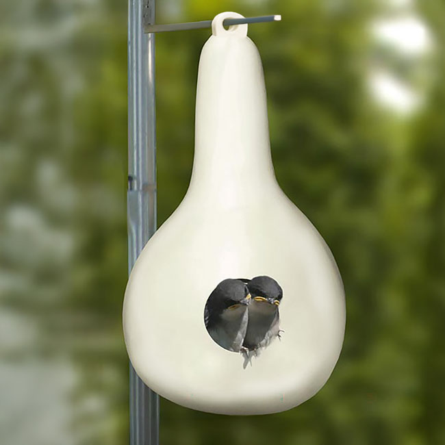 Heath Purple Martin Gourd