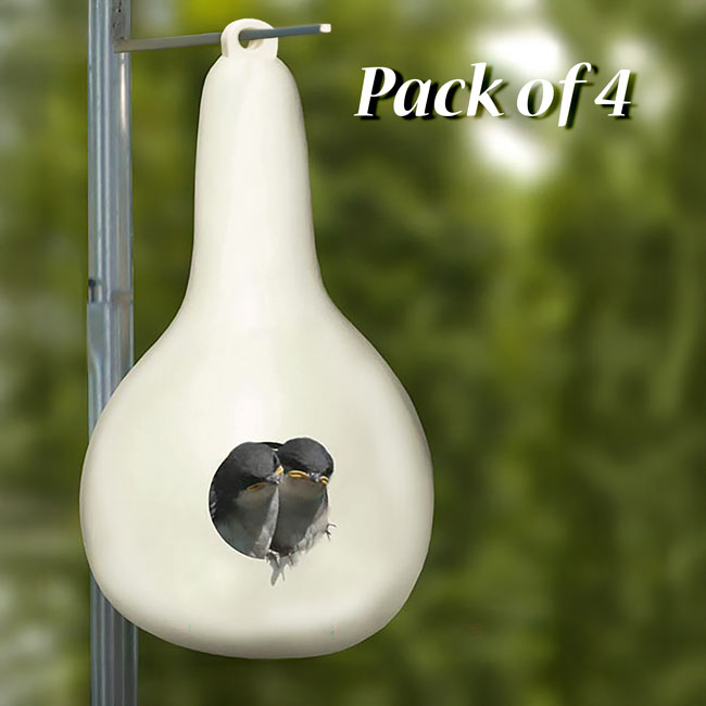 Heath Purple Martin Gourds, Pack of 4