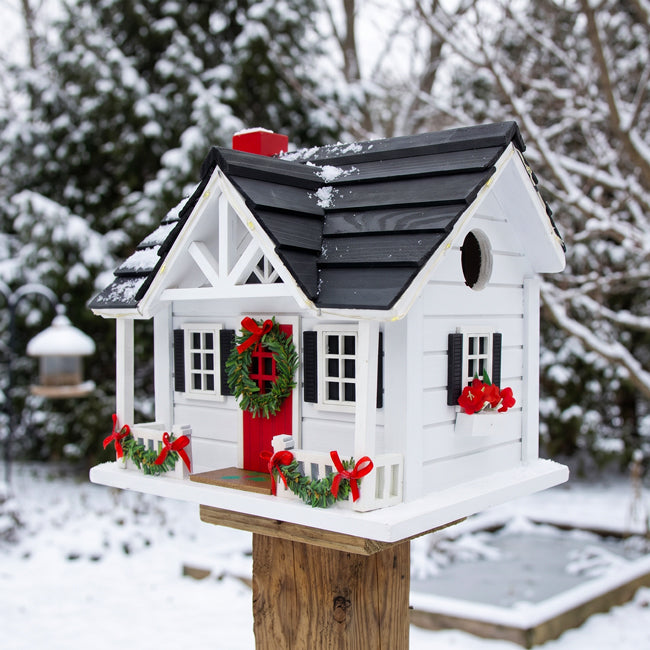 Home Bazaar Caroler's Cape Cottage Birdhouse w/LEDs, White