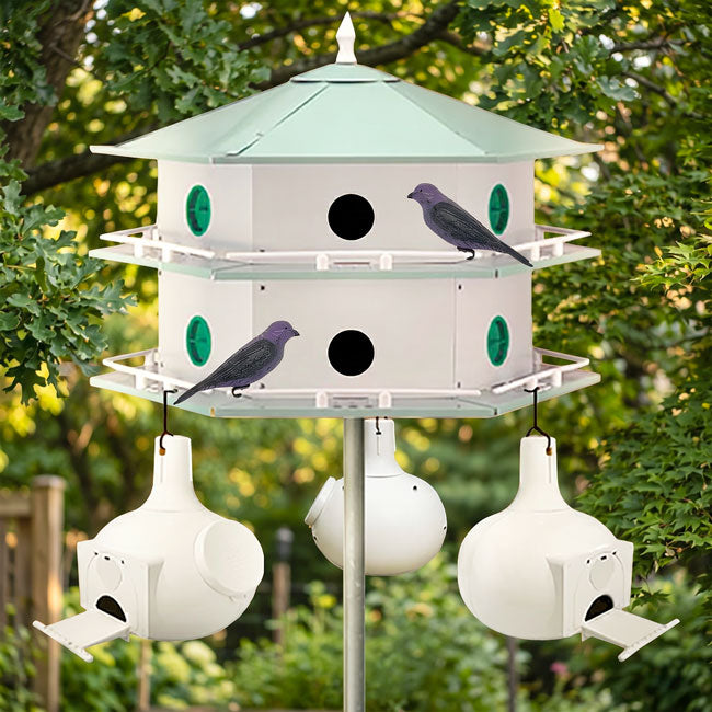 12-Room Deluxe Purple Martin House & Bo 11 Gourds Package