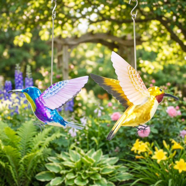 Regal Hummingbird Bouncie "Rufous & Woodnymph" Set