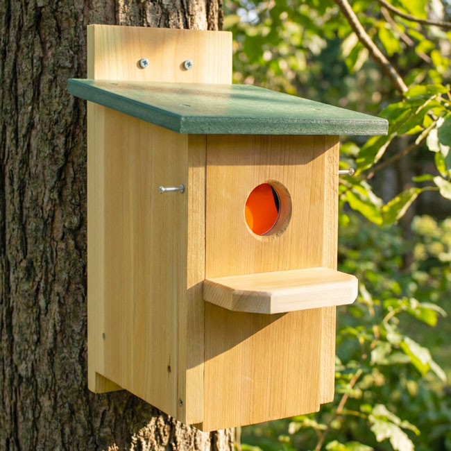 Troyer's S&S Eliminator Trap