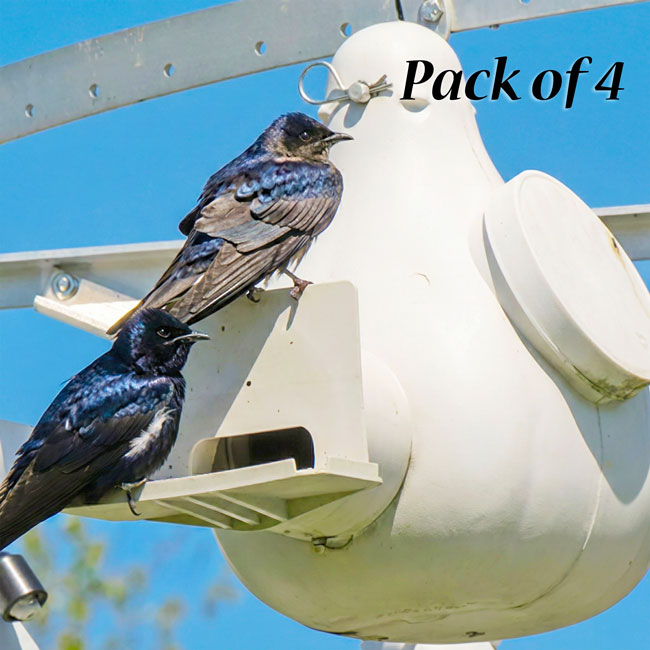 Troyer's Conley II Vertical Gourd with Guard, Pack of 4