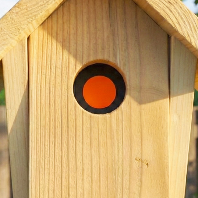 Troyer's Universal In-House Sparrow Trap