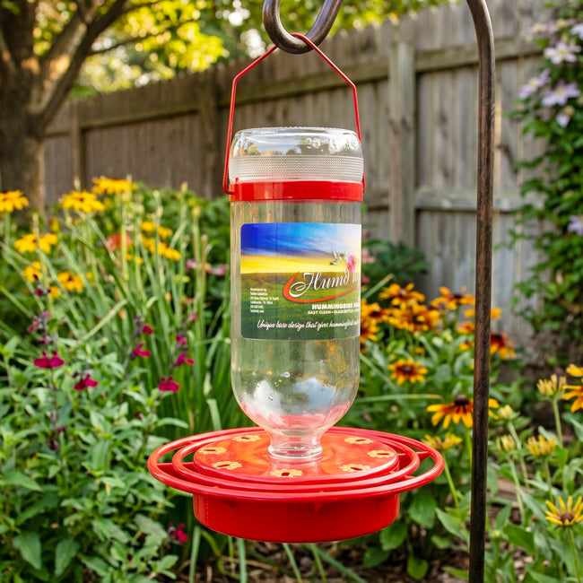 Turbine Glass Hummingbird Feeder, 16 oz.