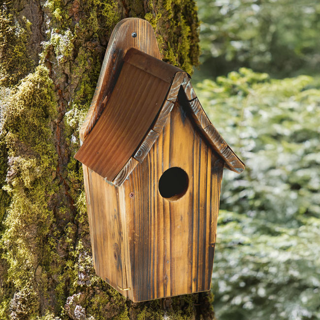 Woodlink Rustic Bluebird House