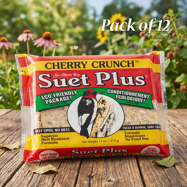 Wildlife Sciences Cherry Crunch Suet Cake, 11 oz, Pack of 12