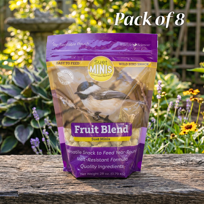Wildlife Sciences Fruit Blend Suet Minis, Pack of 8
