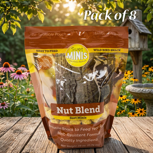Wildlife Sciences Nut Blend Suet Minis, Pack of 8
