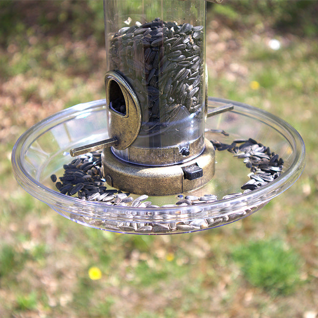 Wild Birds - Accessories – BirdYard Direct