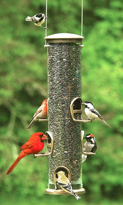 Aspects Big Tube Wild Bird Feeder, Antique Brass