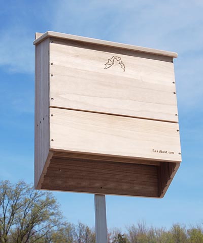 BestNest Five-Celled Bat House, 500 bats – BirdYard Direct