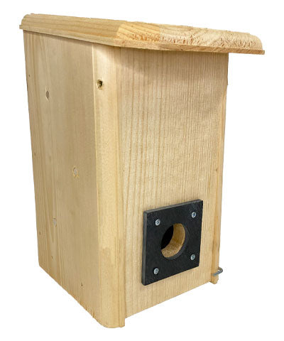 Coveside Small Winter Roost