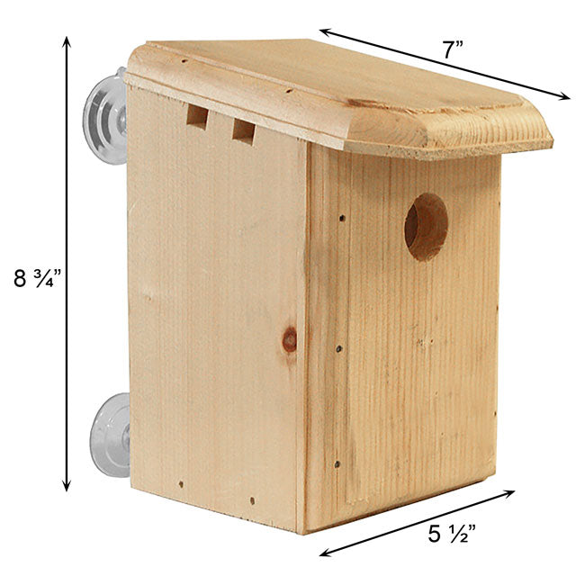 Window Nesting Box Coveside Window Nest Box DIY Kit – BirdYard Direct