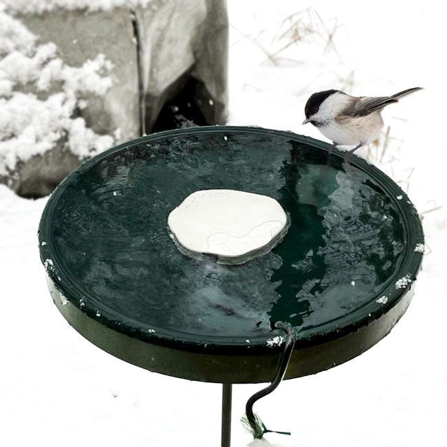 Farm Innovators Heated Rock Bird Bath Deicer, 75 Watts – BirdYard Direct