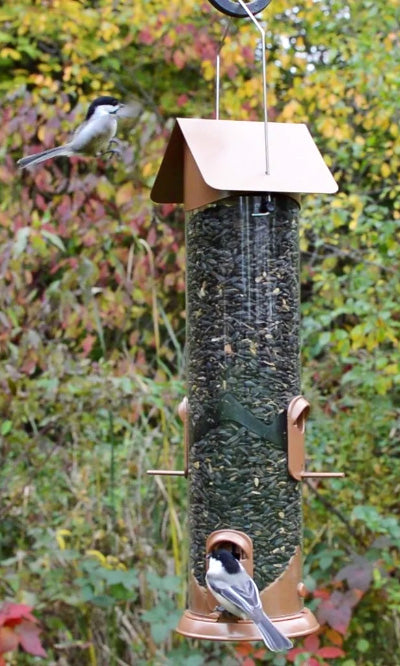 Nature's Way Deluxe Easy Clean Wide Tube Bird Feeder
