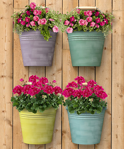 Panacea Half Round Bucket Wall Planters, Asst. Colors, 4 Pk.