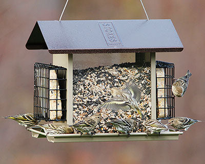 Stokes Large Hopper Feeder with Suet Cages – BirdYard Direct