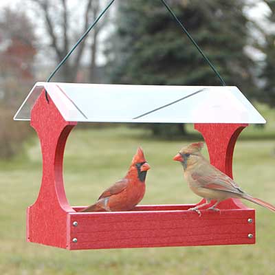 Woodlink Going Green Fly Through Bird Feeder, Red