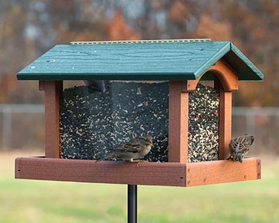 Woodlink Recycled Plastic Premier Hopper Bird Feeder