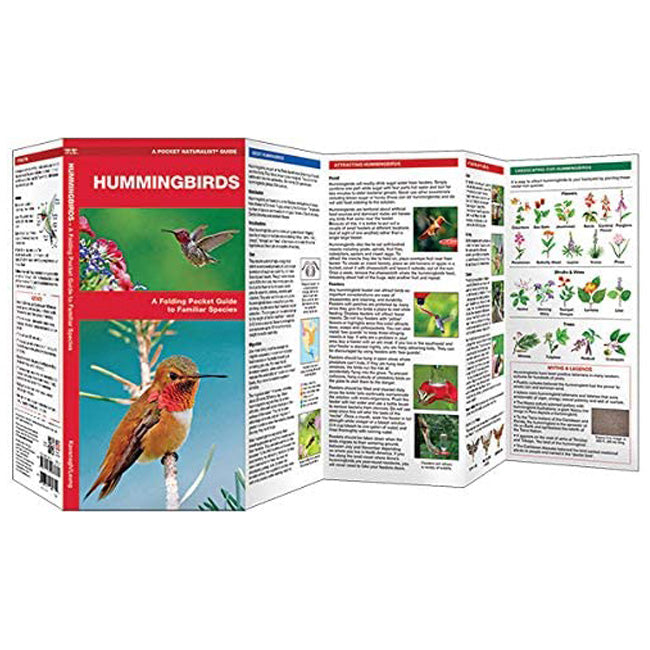 Wfp Booklets Waterford Press Hummingbirds Booklet – BirdYard Direct